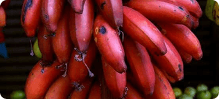 Health Benefits of Banana