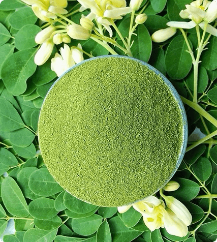Moringa